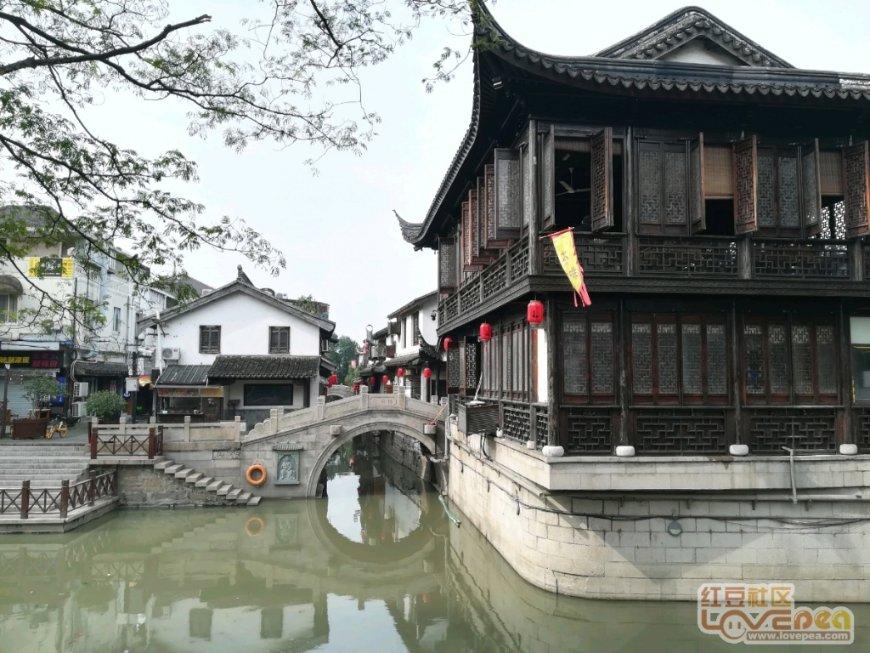 枣园“丰”景好 生活更红火